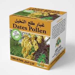 غبار طلع النخيل  (Pollen de Palme / Dates Pollen)